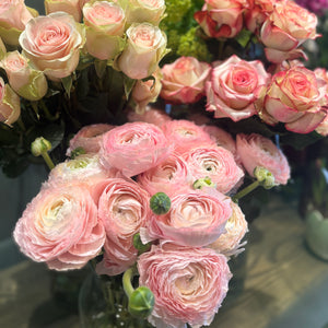 Dara’s Seasonal loves