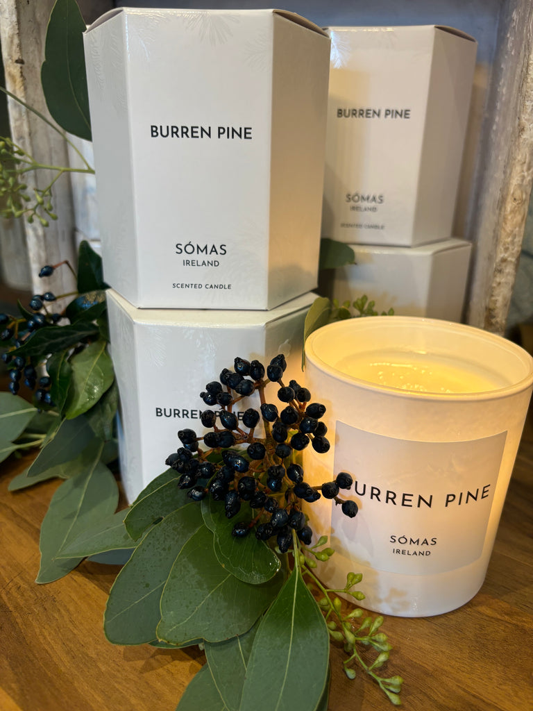Burren Pine