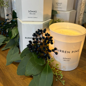 Burren Pine