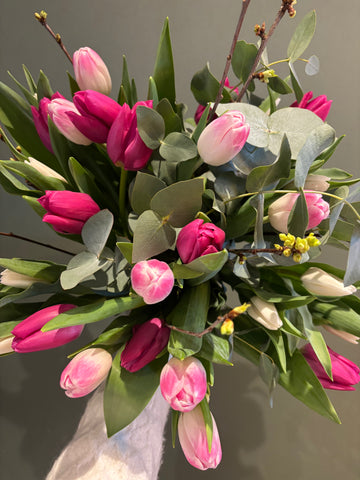 Tulips for Mom
