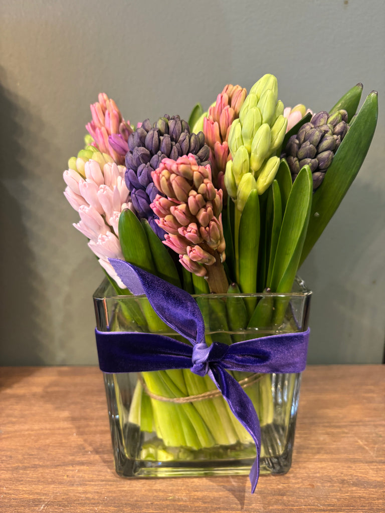 Sweet Hyacinth Vase