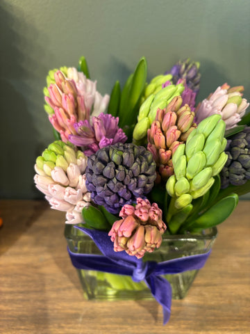 Sweet Hyacinth Vase